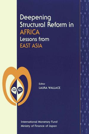 bigCover of the book Deepening Structural Reform in Africa: Lessons from East Asia by 