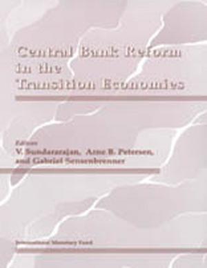 Cover of the book Central Bank Reform in the Transition Economies by Manmohan Mr. Kumar, Teresa Mrs. Ter-Minassian