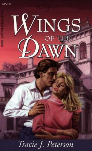 Cover of the book Wings Of The Dawn by Erica Vetsch