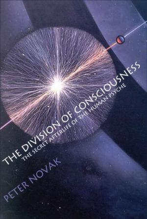 Cover of the book The Division of Consciousness: The Secret Afterlife of the Human Psyche by Ralph Waldo Trine, Mina Paker