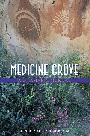 Cover of the book Medicine Grove by Lauren Adams
