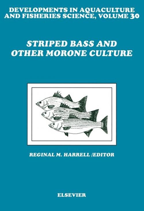 Cover of the book Striped Bass and Other Morone Culture by , Elsevier Science