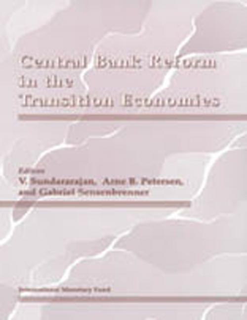 Cover of the book Central Bank Reform in the Transition Economies by International Monetary Fund, INTERNATIONAL MONETARY FUND