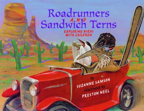 Cover of the book Road Runners & Sandwich Terns by Suzanne Samson, Roberts Rinehart
