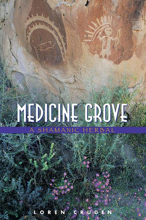 Cover of the book Medicine Grove by Loren Cruden, Inner Traditions/Bear & Company