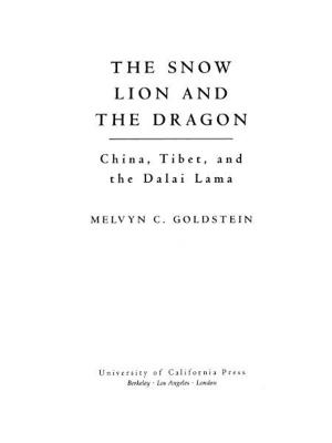 Cover of the book The Snow Lion and the Dragon by Immanuel Wallerstein