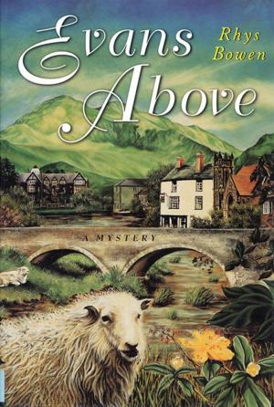 Cover of the book Evans Above by Lily Everett
