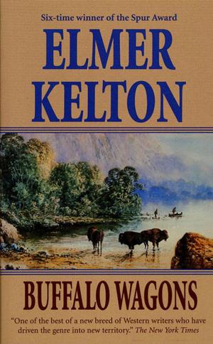 Book cover of Buffalo Wagons