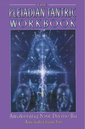 Cover of the book The Pleiadian Tantric Workbook by 童曉希