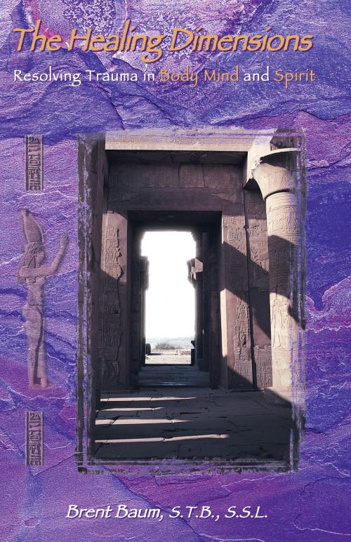 Cover of the book The Healing Dimensions by Brent Baum, Healing Dimensions ACC