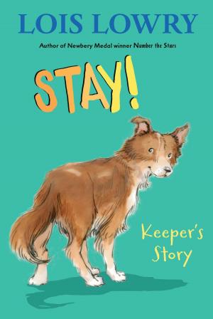 bigCover of the book Stay! by 