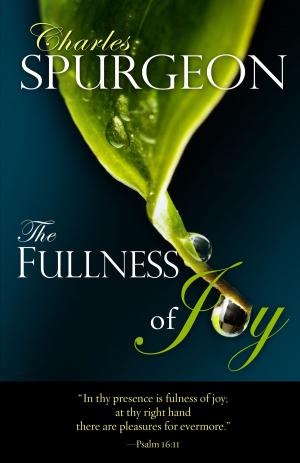 Cover of the book The Fullness of Joy by Melannie Svoboda