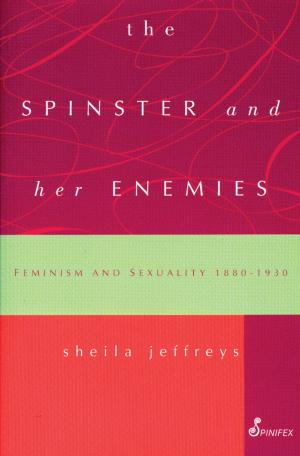 Cover of the book The Spinster and Her Enemies by Betty McLellan
