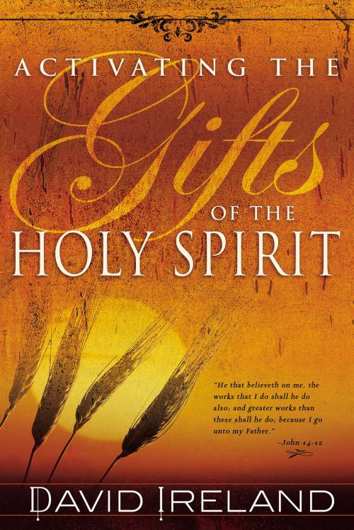 Cover of the book Activating the Gifts of the Holy Spirit by David Ireland, Whitaker House