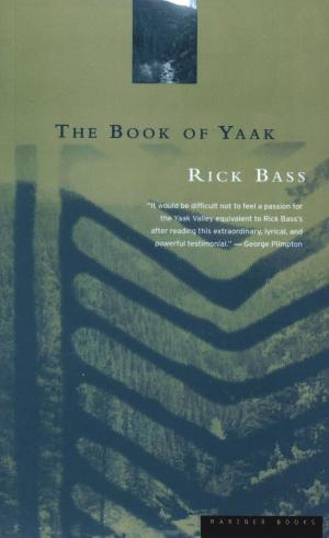 Cover of the book The Book of Yaak by Mario Gmür