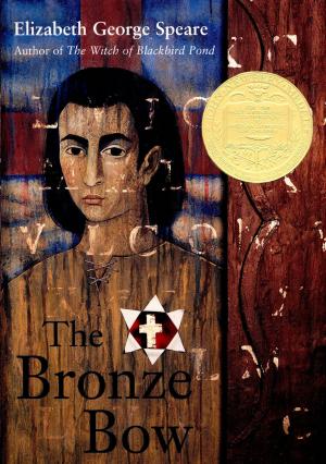 Cover of the book The Bronze Bow by Jasper Fforde