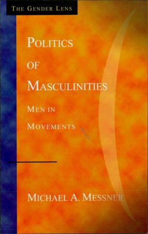 Book cover of Politics of Masculinities