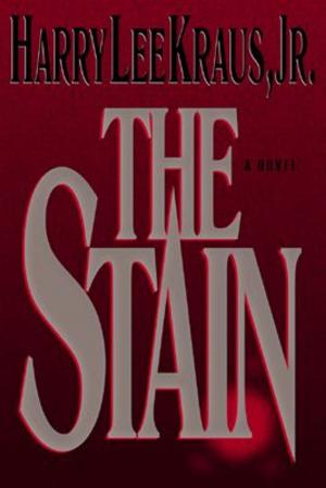 Cover of the book The Stain by Nancy Guthrie