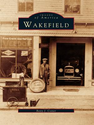 Cover of the book Wakefield by James W. Claflin