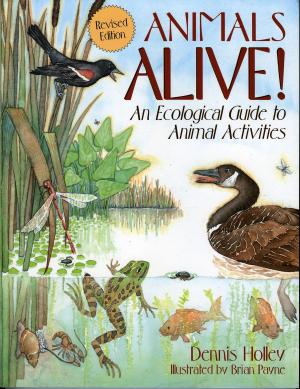 Cover of the book Animals Alive! by Marsha C. Bol