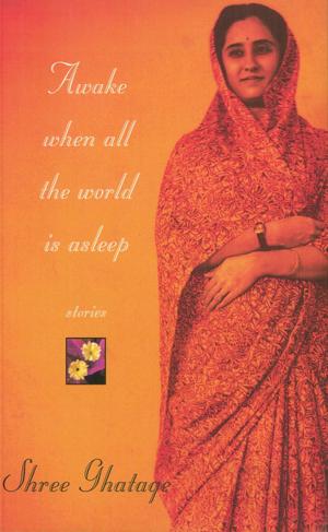Cover of the book Awake When All the World Is Asleep by Adam Gopnik