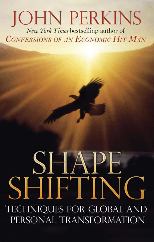 Cover of the book Shapeshifting by John Perkins, Inner Traditions/Bear & Company
