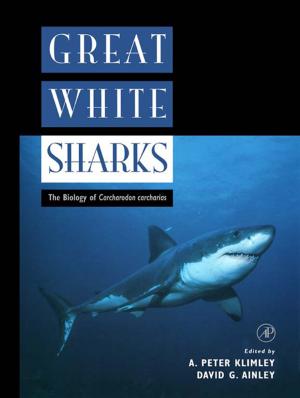 Cover of the book Great White Sharks by Chet Hosmer