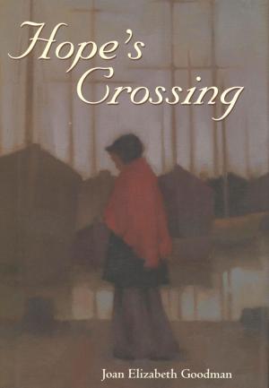 Book cover of Hope's Crossing
