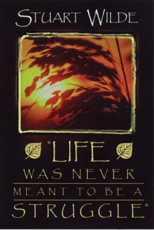 bigCover of the book Life Was Never Meant to Be a Struggle by 