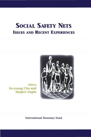 Cover of the book Social Safety Nets: Issues and Recent Experience by Garry Mr. Schinasi