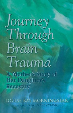 Book cover of Journey Through Brain Trauma