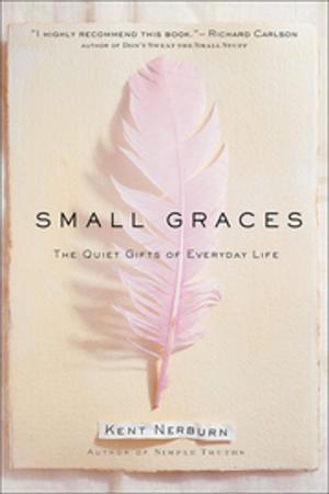 Cover of the book Small Graces by Shakti Gawain