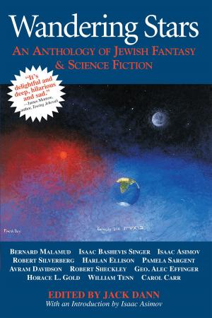 Cover of the book Wandering Stars by Rabbi Lawrence A. Hoffman