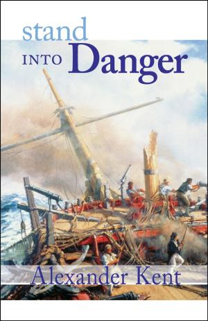 Cover of the book Stand Into Danger by Dudley Pope