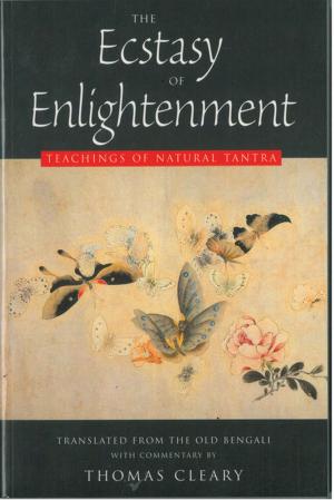 Cover of the book The Ecstasy of Enlightenment by Meg Blackburn Losey, PhD