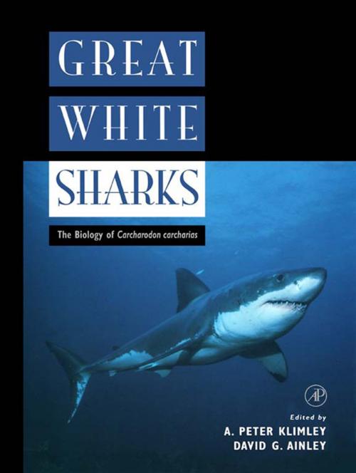 Cover of the book Great White Sharks by , Elsevier Science