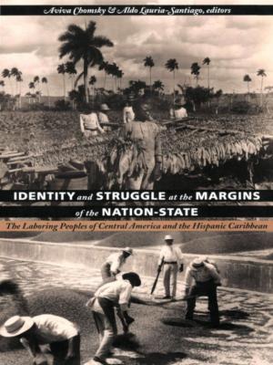 Cover of the book Identity and Struggle at the Margins of the Nation-State by Frank Feigert