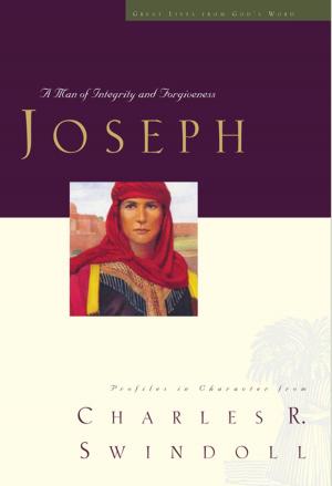 Cover of the book Joseph by Michael O'Brien