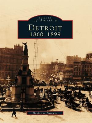 Cover of the book Detroit by William White-acre