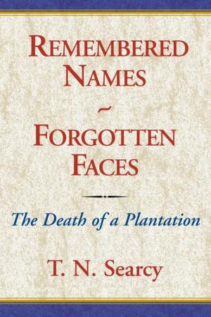Cover of the book Remembered Names - Forgotten Faces by Melisa Mel