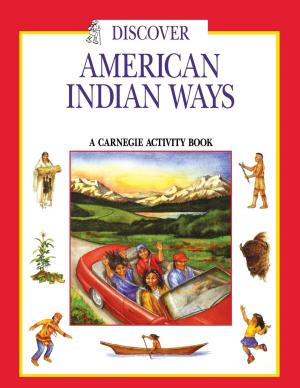 Cover of the book Discover American Indian Ways by Adrienne Lewis Dillard