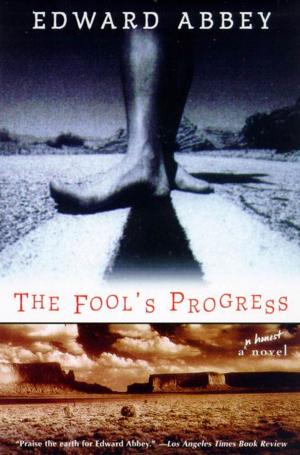 Cover of the book The Fool's Progress by Shayna Krishnasamy