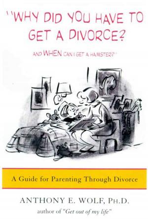 bigCover of the book Why Did You Have to Get a Divorce? And When Can I Get a Hamster? by 