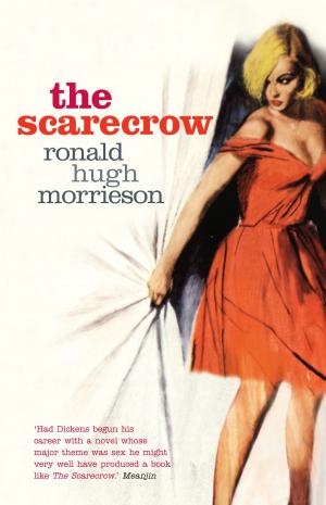 Cover of the book The Scarecrow by Nir Baram