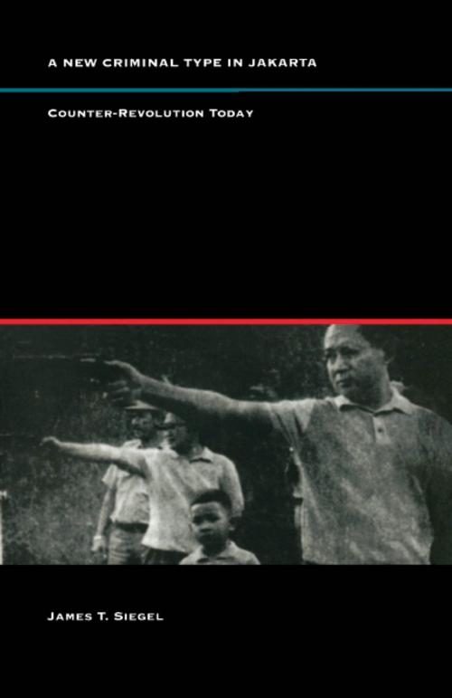 Cover of the book A New Criminal Type in Jakarta by James T. Siegel, Duke University Press