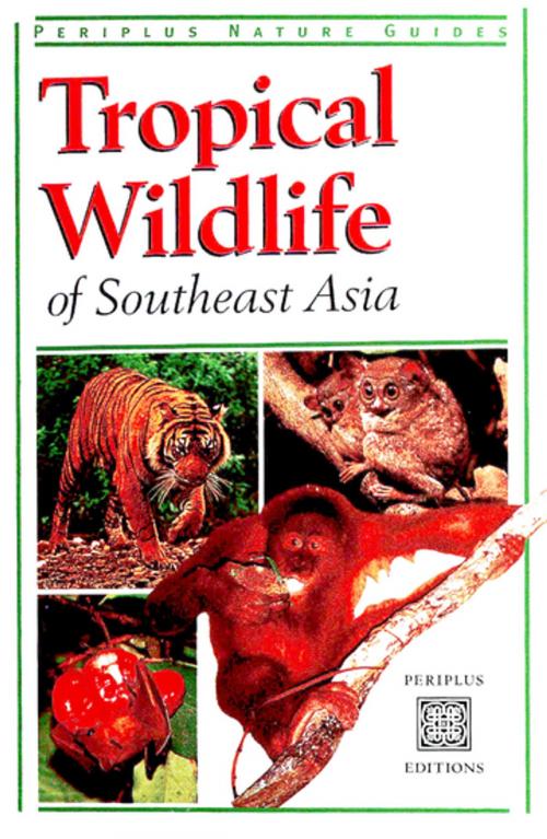 Cover of the book Tropical Wildlife by Jane Whitten, Tuttle Publishing
