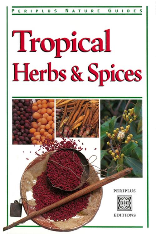 Cover of the book Tropical Herbs & Spices by Wendy Hutton, Tuttle Publishing