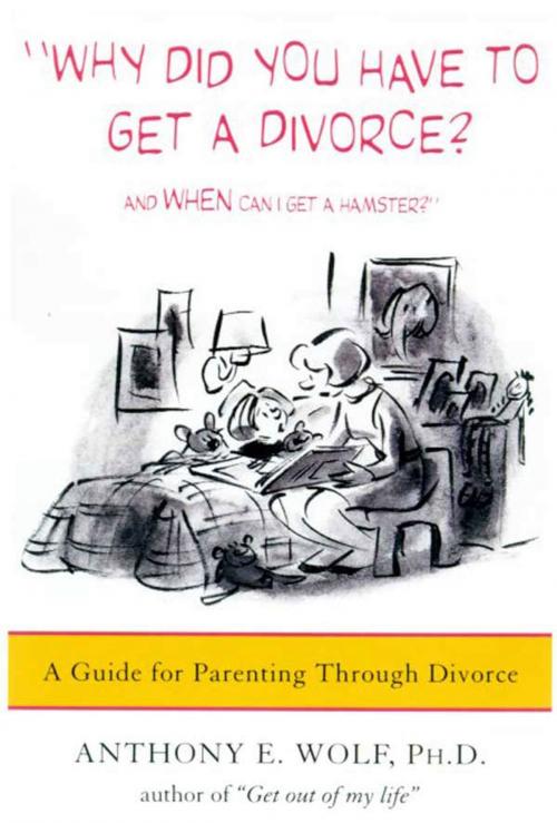 Cover of the book Why Did You Have to Get a Divorce? And When Can I Get a Hamster? by Anthony E. Wolf, Ph.D., Farrar, Straus and Giroux