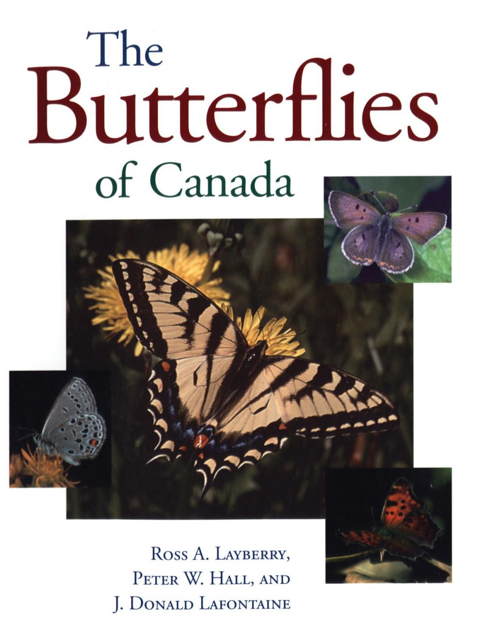 Big bigCover of The Butterflies of Canada