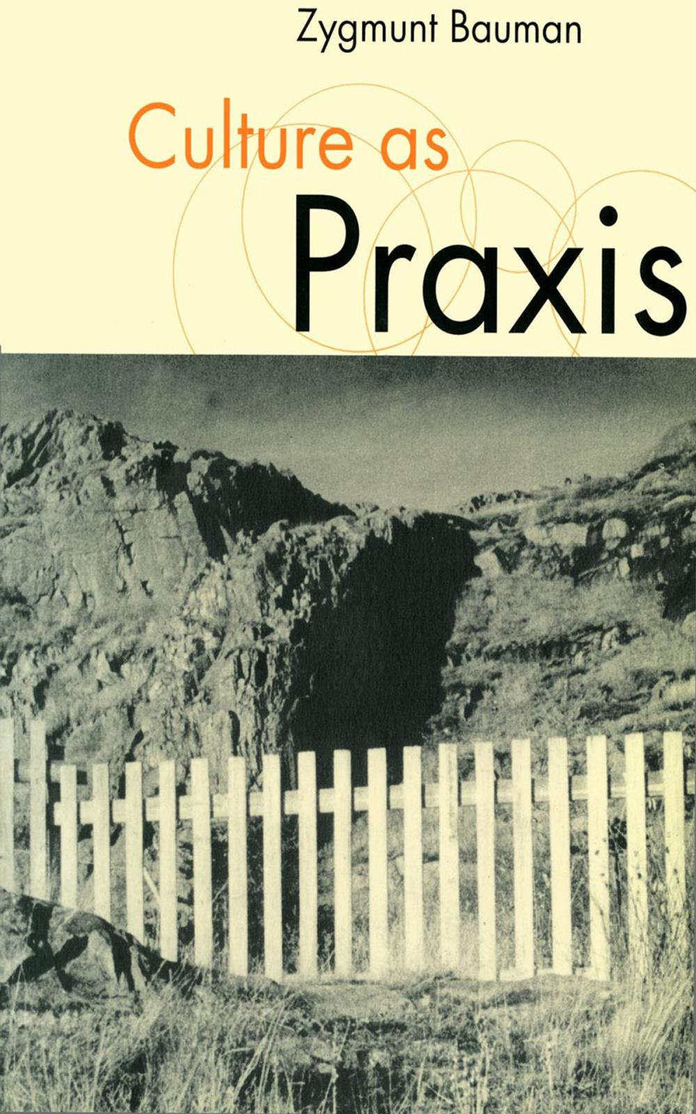 Big bigCover of Culture as Praxis